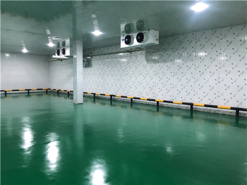 马博(中国)蔬菜保鲜库 马博(中国)蔬菜保鲜库